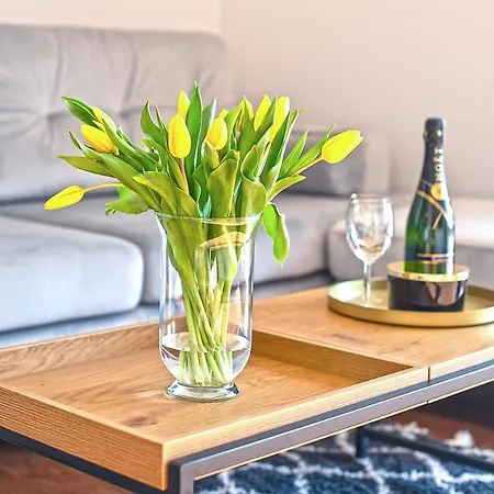 Na Polanie-szafirek Polanica-Zdrój