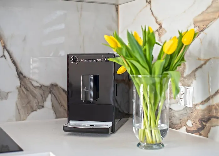 Na Polanie-szafirek 度假居 波兰尼卡-兹德鲁伊