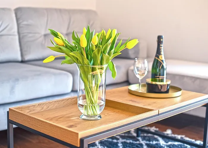 Na Polanie-szafirek 波兰尼卡-兹德鲁伊