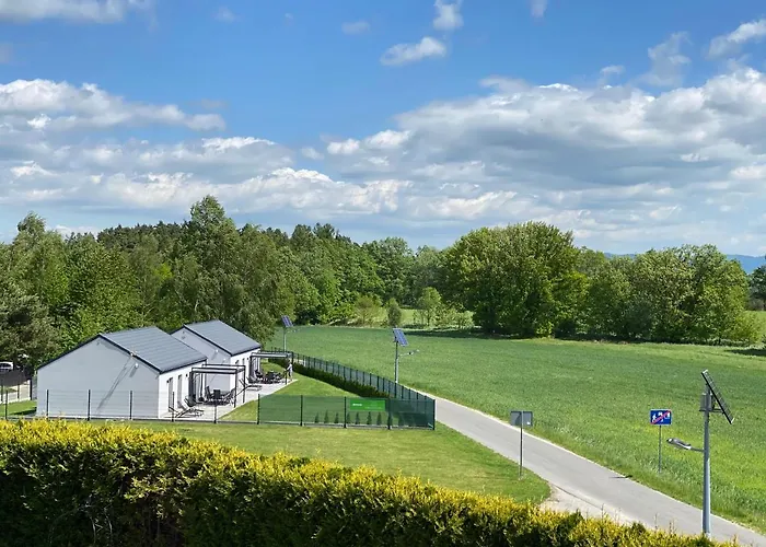 Na Polanie-szafirek *